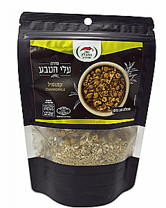 ����� ������ ���� ��� ����