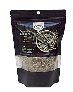 ����� ���� ��� ����