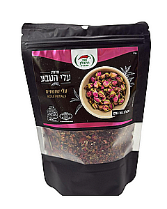 ��� ������ ���� ��� ����