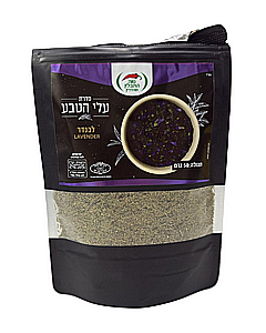 ����� ���� ��� ����