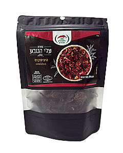 �������� ���� ��� ����