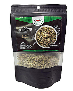 ����� ������ ���� ��� ����